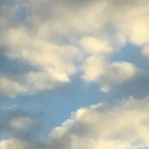 Meet your Posher, Lillie